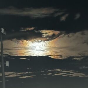 Meet your Posher, Celia